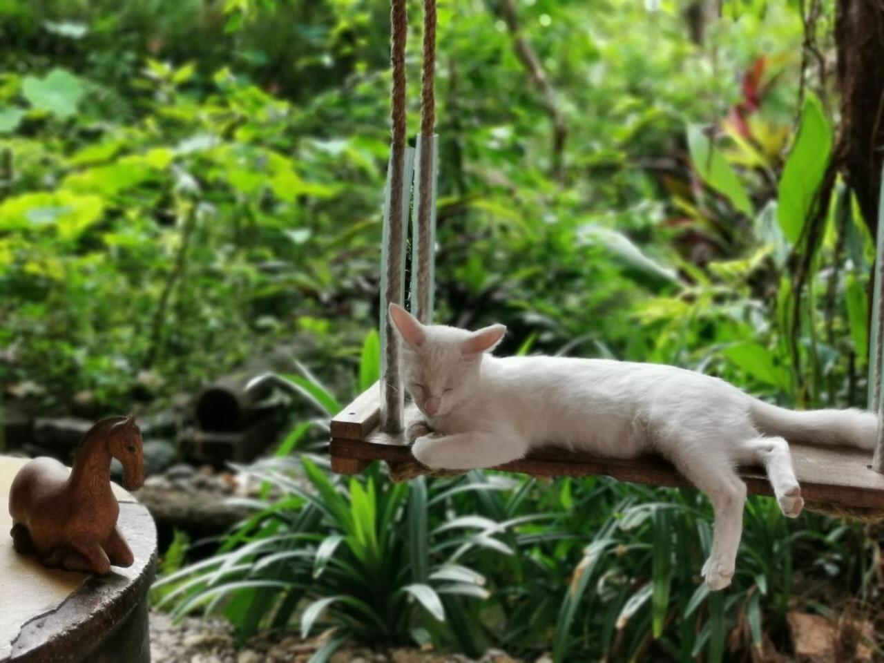 Baanbooloo Village Chiang Mai Bagian luar foto